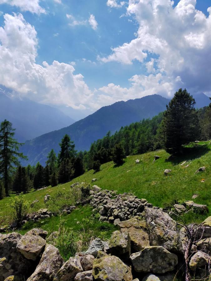 La Misun De Ciafre Bed & Breakfast Casteldelfino Dış mekan fotoğraf